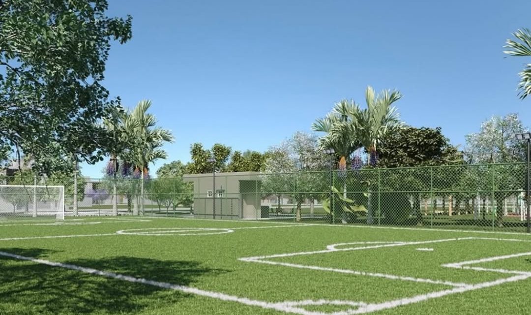 Campo gramado